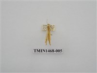 藏品(尺蠖蛾科)的圖片